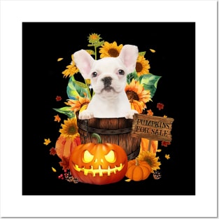 White Frech Bulldog Halloween Pumpkin Fall Bucket Posters and Art